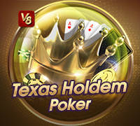 Texas Hold'em Poker